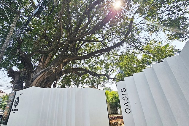 Oasis Spa Lanna , Wat Prasing ใจกลางเมืองเชียงใหม่